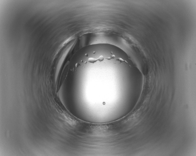 X0000066501210200603201314
