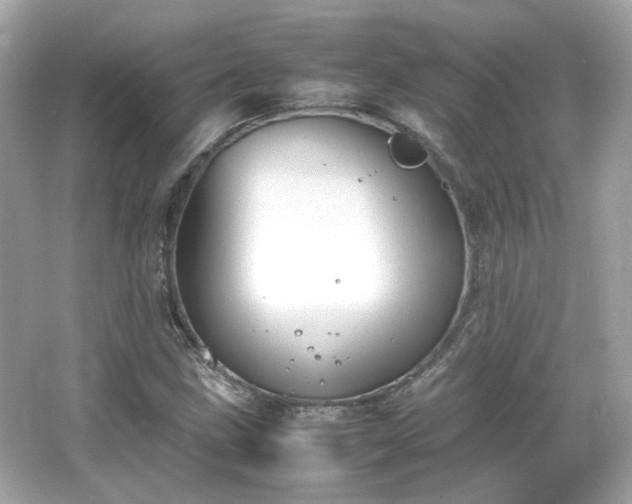X0000066501211200603201314