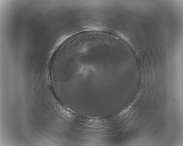 X0000066501215200603201314