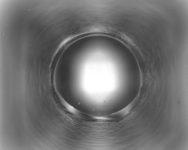 X0000066501222200603201314