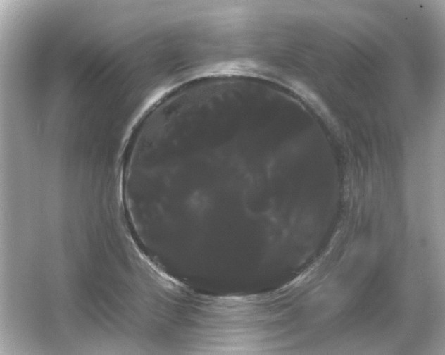 X0000066501224200603201314
