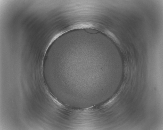X0000066501226200603201314