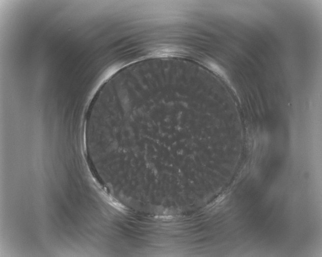 X0000066501227200603201314