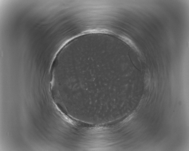X0000066501228200603201314