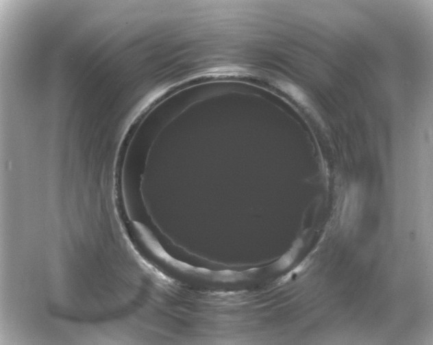 X0000066501229200603201314