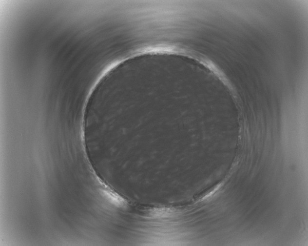X0000066501232200603201314