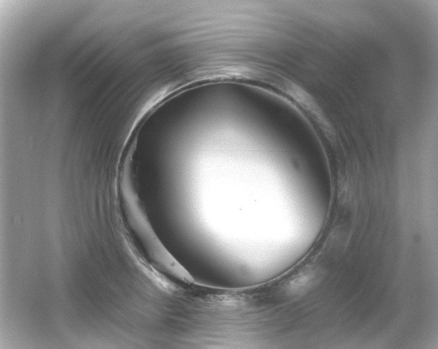 X0000066501234200603201314