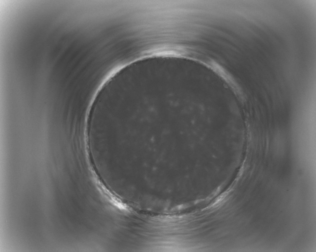 X0000066501240200603201315