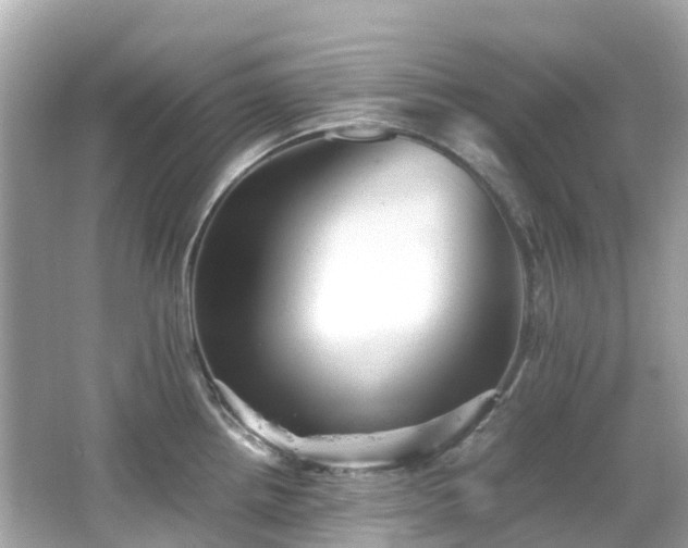 X0000066501242200603201315