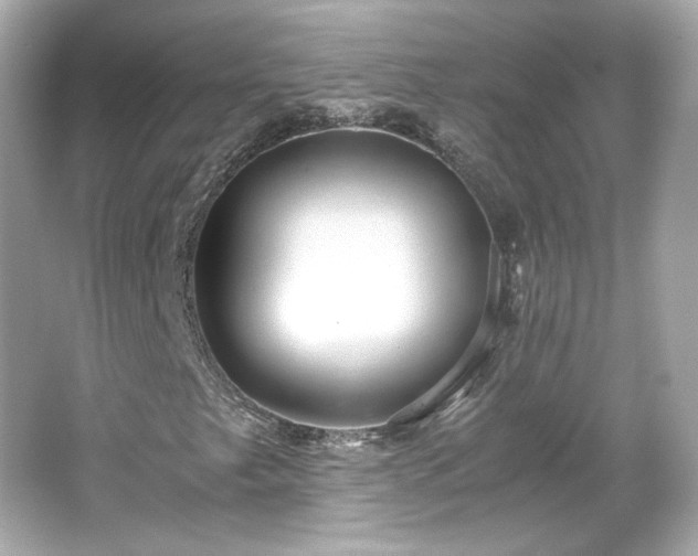 X0000066501249200603201314