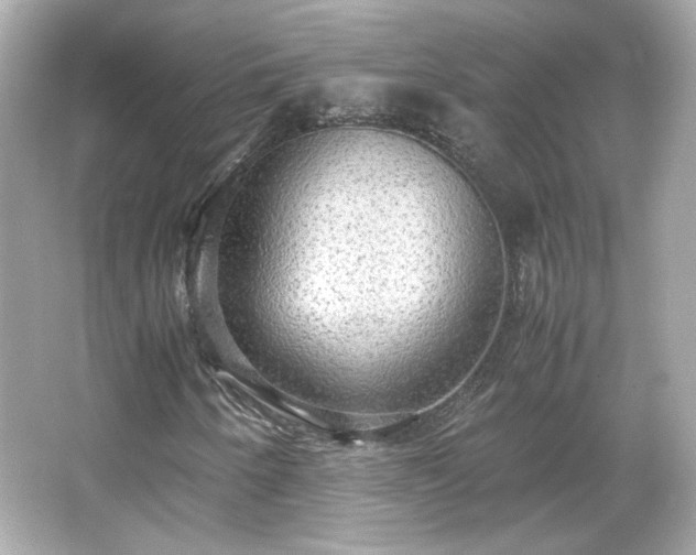 X0000066501250200603201314