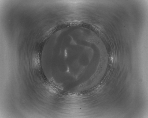 X0000066501252200603201314