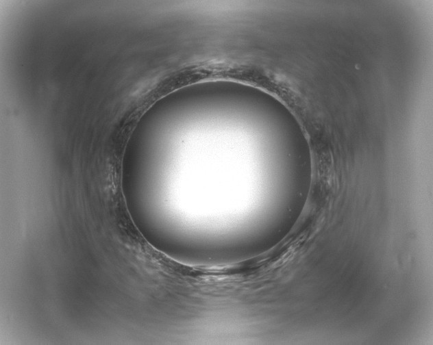 X0000066501253200603201314
