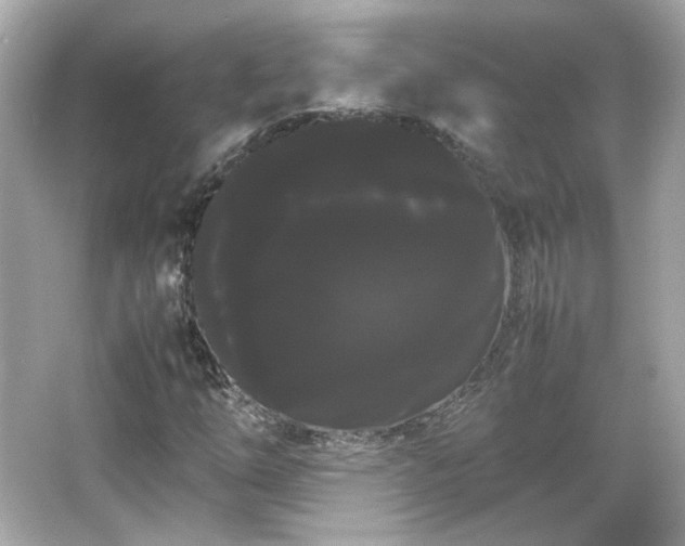 X0000066501254200603201314