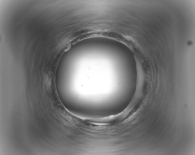X0000066501257200603201314