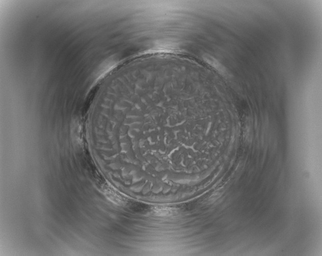 X0000066501258200603201314