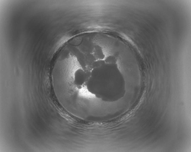X0000066501259200603201314