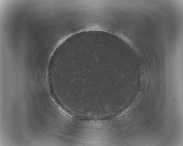 X0000066501264200603201314