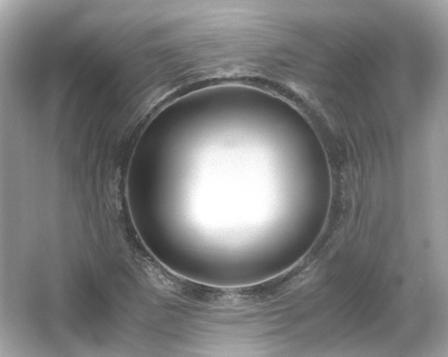X0000066501265200603201314