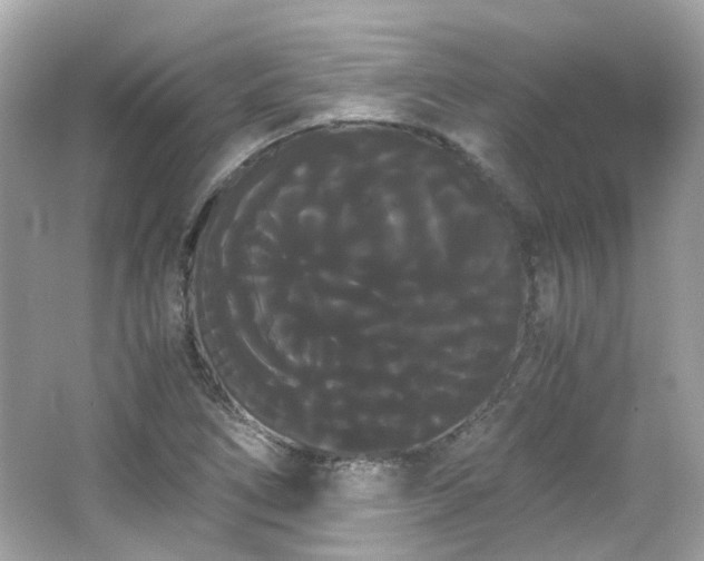 X0000066501266200603201314