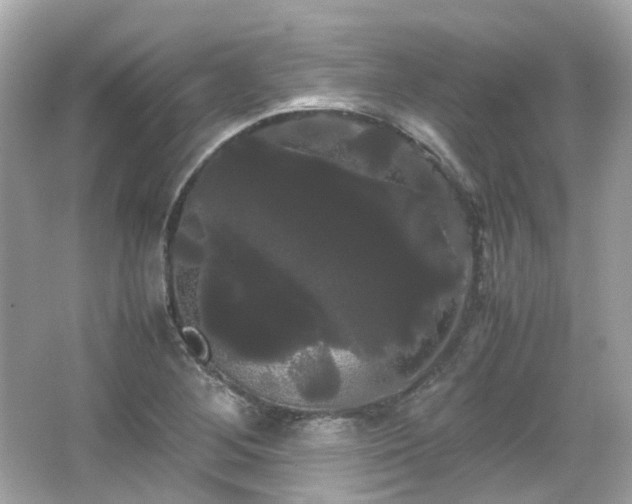 X0000066501268200603201314