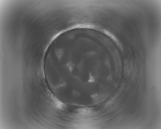 X0000066501272200603201313