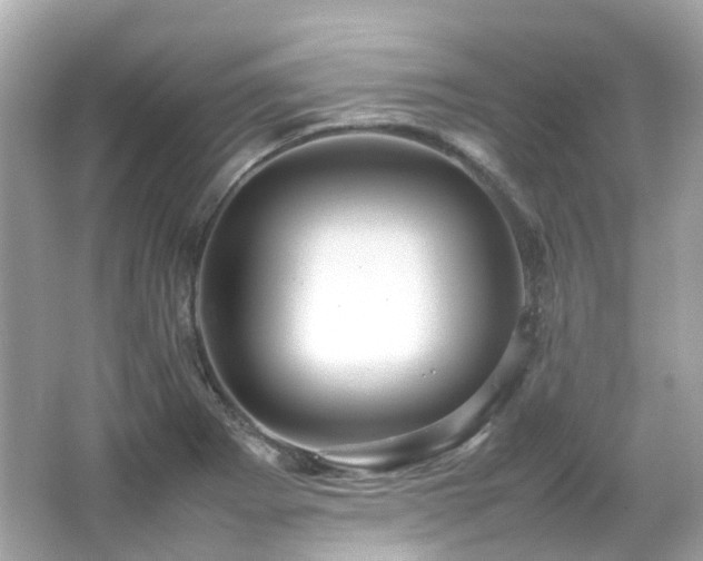 X0000066501273200603201313