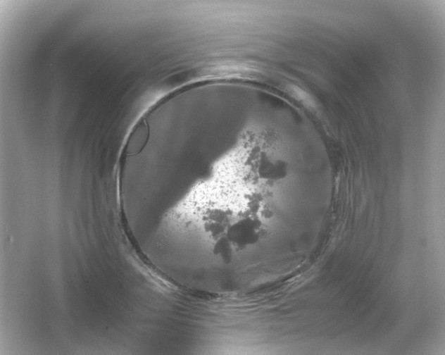 X0000066501275200603201313
