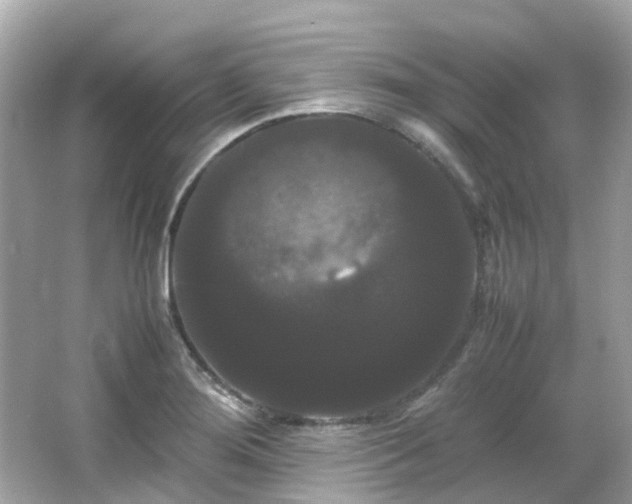 X0000066501276200603201313