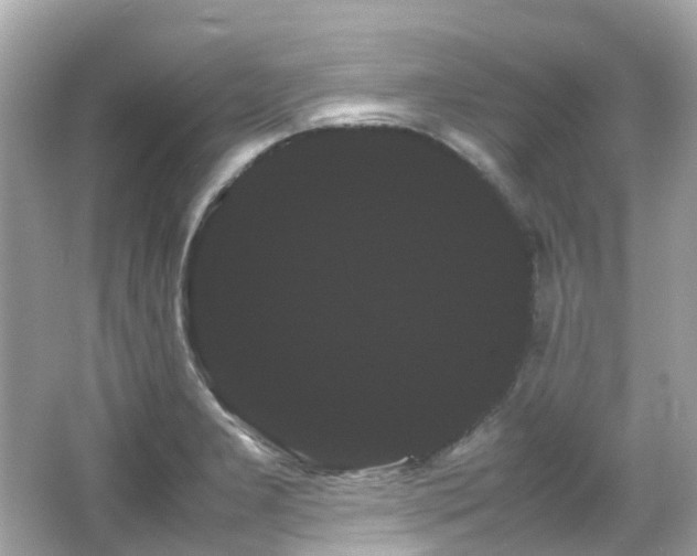X0000066501277200603201313