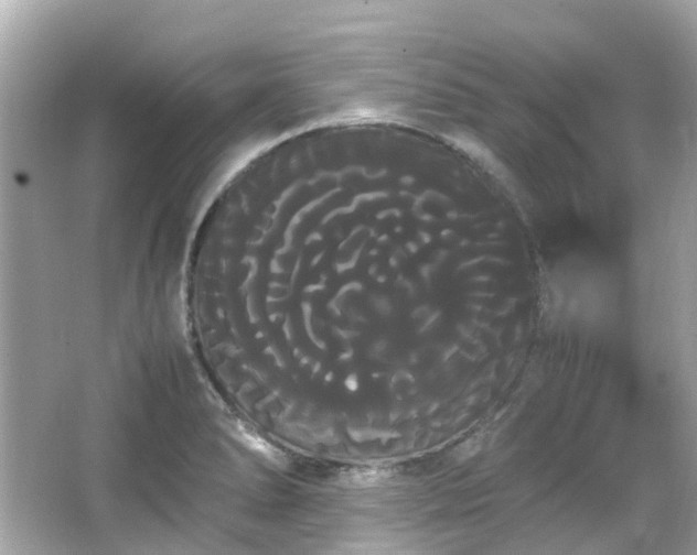 X0000066501278200603201313