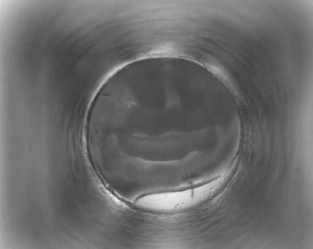 X0000066501288200603201313