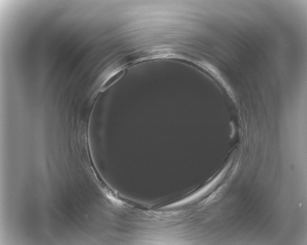 X0000066501289200603201313