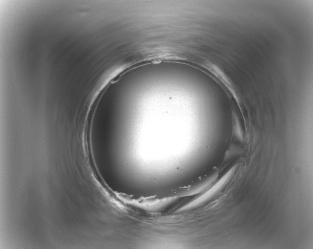 X0000066501293200603201313