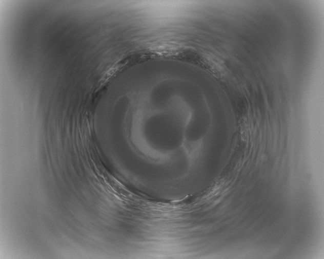 X0000066501298200603201312