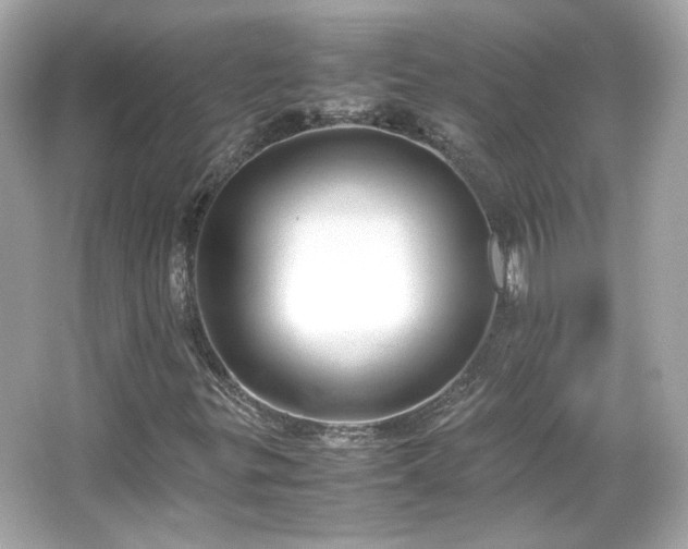 X0000066501299200603201312