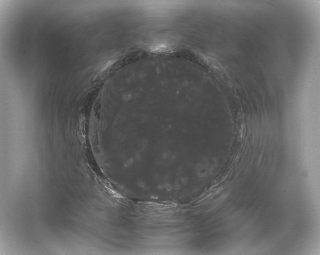 X0000066501301200603201312