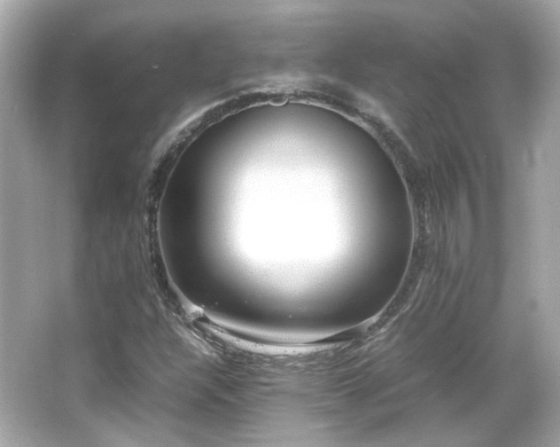 X0000066501304200603201312