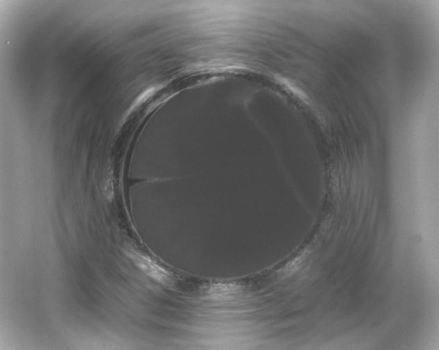 X0000066501306200603201312