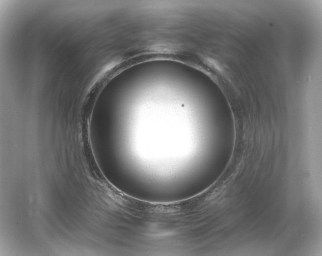 X0000066501307200603201312