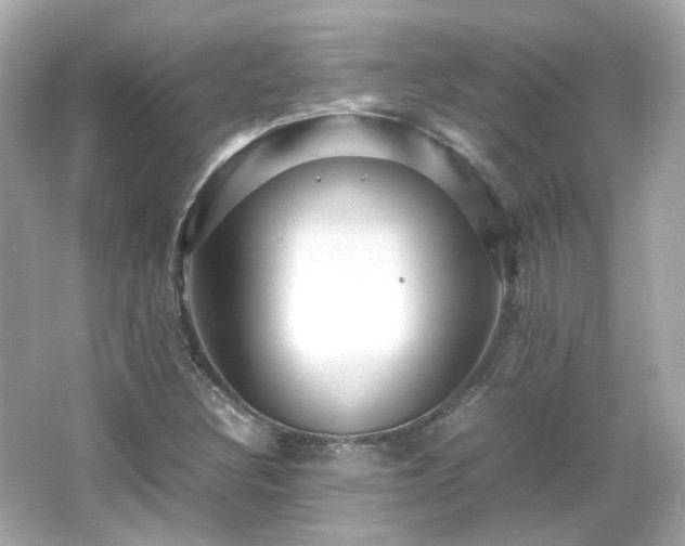 X0000066501308200603201312