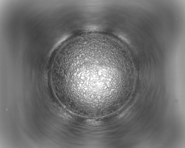 X0000066501309200603201312
