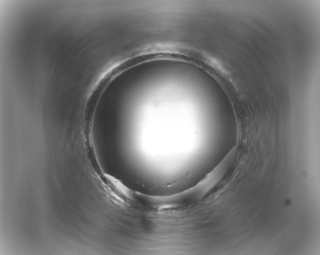 X0000066501312200603201312