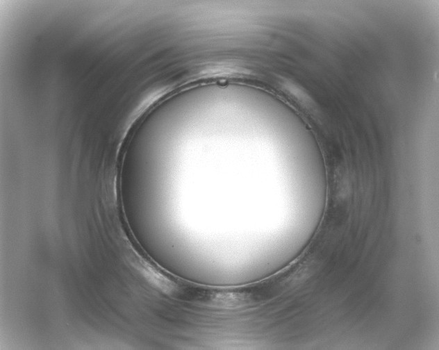 X0000066501322200603201313