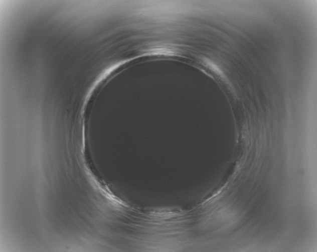 X0000066501323200603201313