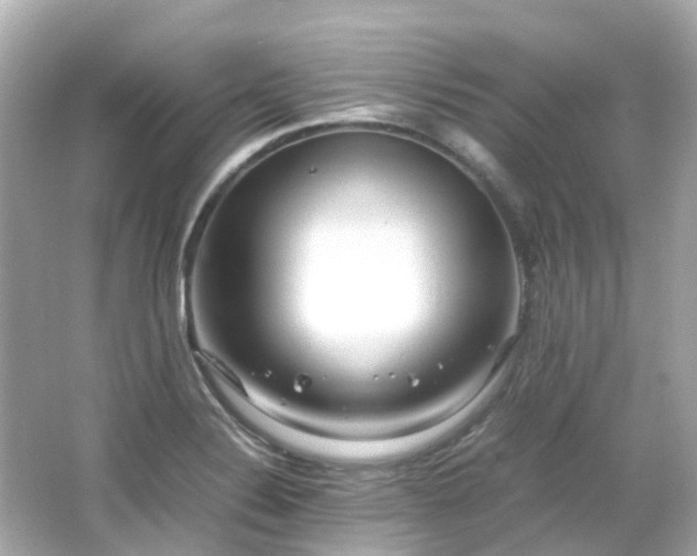X0000066501324200603201313
