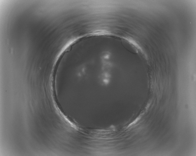 X0000066501325200603201313