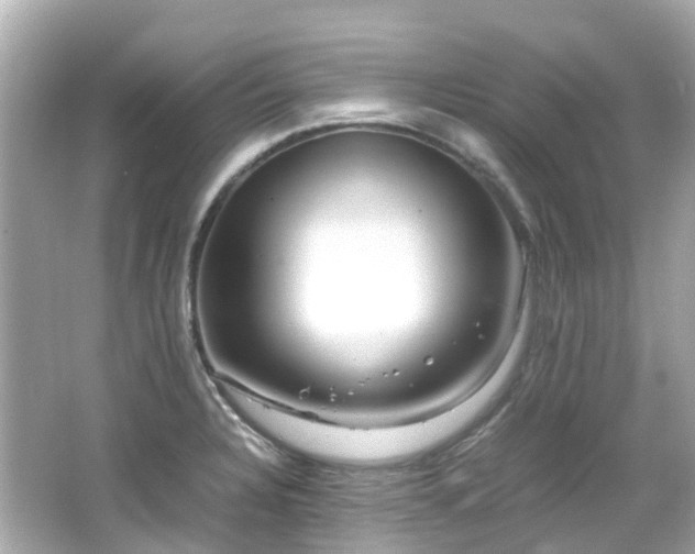 X0000066501328200603201313