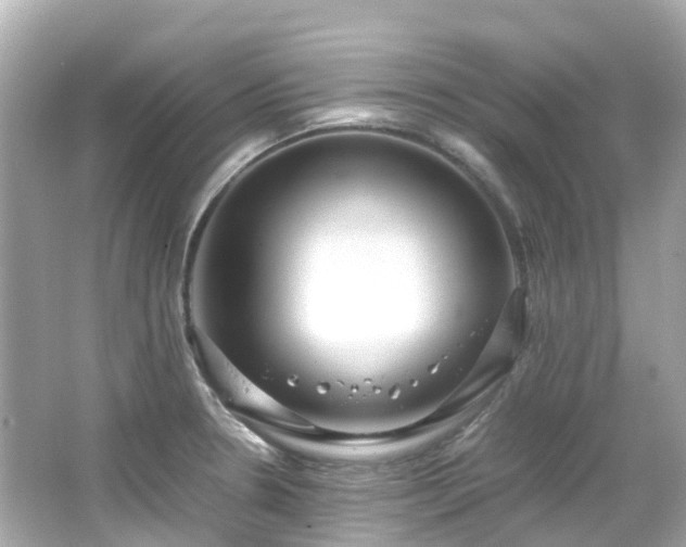 X0000066501330200603201313