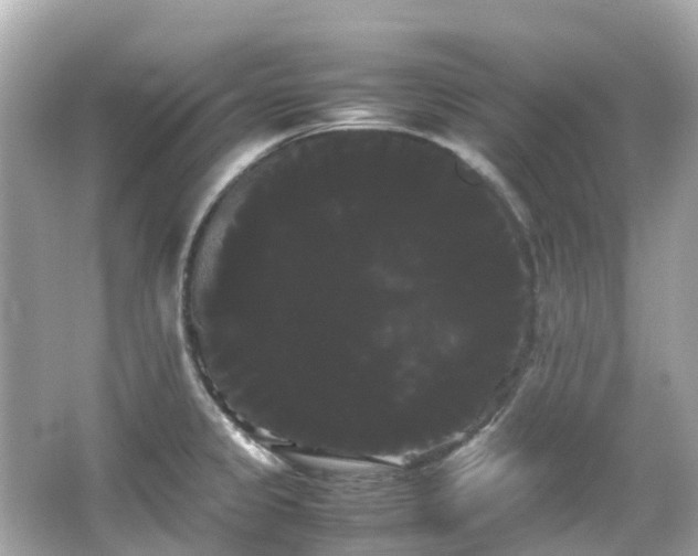 X0000066501333200603201313